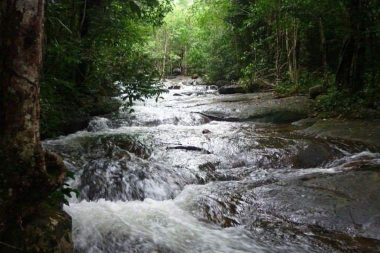 Suối Tranh - Phú Quốc